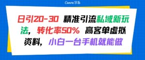 日引 20-30 精准引流私域新玩法,转化率50% 高客单虚拟资料,小白一台手机就能做-互联网资源大全网
