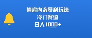 情趣内衣暴利玩法，冷门赛道，日入1k+-互联网资源大全网