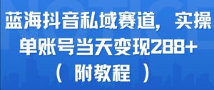 蓝海抖音私域赛道，实操单账号当天变现288+(附教程)-互联网资源大全网