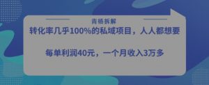 转化率最高的私域项目，每单利润40-50米，月入过1w-互联网资源大全网