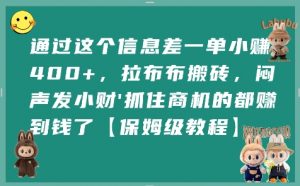 通过这个信息差一单小挣4张+，拉布布搬砖，闷声发小财抓住商机的都挣到钱了【保姆级教程】-互联网资源大全网