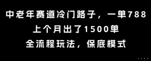 中老年赛道冷门路子，一单788，上个月出了1500单，全流程玩法，保底模式【揭秘】-互联网资源大全网