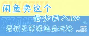 闲鱼卖这个，最少日入1k，最新无货源选品玩法-互联网资源大全网