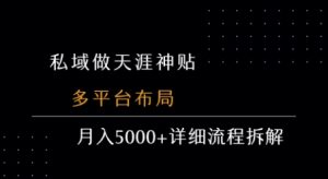 私域做天涯神贴 多平台布局 月入5k+详细流程拆解-互联网资源大全网