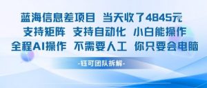 蓝海信息差项目当天收米1k+ 支持矩阵支持自动化小白能操作全程AI操作不需要人工你只要会电脑-互联网资源大全网