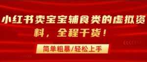 小红书卖宝宝辅食类的虚拟资料，从引流到私域变现，全程干货，简单粗暴，轻松上手-互联网资源大全网