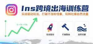 Ins跨境出海训练营,实战驱动玩法,打破不涨粉怪象,玩转社媒自然流量-互联网资源大全网