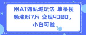 用AI做私域玩法，单条视频涨粉7W变现4.3k，小白可做-互联网资源大全网