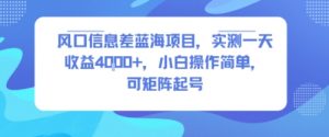 风口信息差蓝海项目，实测一天收益4k+，小白操作简单，可矩阵起号-互联网资源大全网
