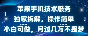 苹果手机技术服务，独家拆解，操作简单，小白可做，月过1W不是梦-互联网资源大全网
