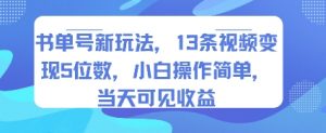 书单号新玩法，13条视频变现5位数，小白操作简单，当天可见收益-互联网资源大全网