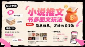 小说推文小红书多图文玩法，简单粗暴，万播收益3张-互联网资源大全网