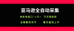 亚马逊全自动采集,单机单窗口一天10+,可无限矩阵去做【揭秘】-第一资源库