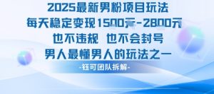 2025最新男粉项目玩法每天变现1k+也不违规也不会封号男人最懂男人的玩法-第一资源库