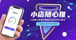 小店随心推微付费撬动自然流投手教学,小店随心推手把手教学-互联网资源大全网