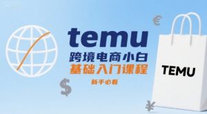 temu跨境电商小白基础入门课程，新手必看-互联网资源大全网