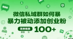 微信私域群如何暴力被动添加创业粉,简单粗暴,日引100+-互联网资源大全网