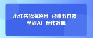小红书蓝海项目，全程AI，操作简单，已挣五位数-互联网资源大全网