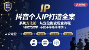 抖音个人IP系统落地实操大课,实操课程,辅助落地-互联网资源大全网