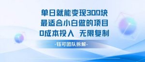 单日就能变现3张最适合小白做的项目0成本投入 无限复制-互联网资源大全网
