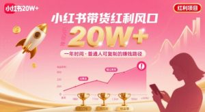 一年时间靠小红书带货项目年入20w+，最不能错的大红利项目-互联网资源大全网