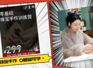 小集电商水晶直播带货课-抖音电商教程-互联网资源大全网