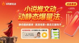 8月小说推文全新玩法,动静态图片+搭配小说文案爆量玩法-第一资源库