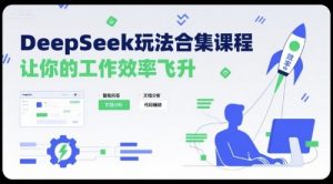 DeepSeek玩法合集课程，让你的工作效率飞升-互联网资源大全网