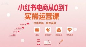 小红书电商从0到1实操运营课，从零开始，简单易学-互联网资源大全网
