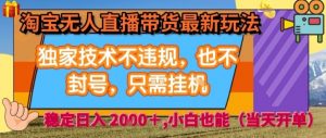 淘宝无人直播带货最新玩法,独家技术不违规,也不封号,全自动运行,只需挂着, 稳定日入2k【揭秘】-互联网资源大全网
