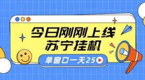 苏宁全自动采集挂G项目 稳定可批量 单窗口收益30+ 附教程【揭秘】-互联网资源大全网
