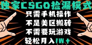 CSGO自动捡漏项目,最新独家玩法,不是美区搬砖,不需要了解和玩游戏,新手小白轻松月入1W+【揭秘】-互联网资源大全网