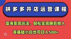 拼多多开店运营课程:蓝海变现玩法,轻松实现睡后收入,零基础小白也可日入5张-互联网资源大全网