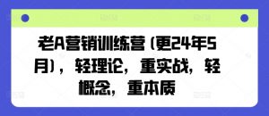 老A营销训练营(更25年8月),轻理论,重实战,轻概念,重本质-互联网资源大全网