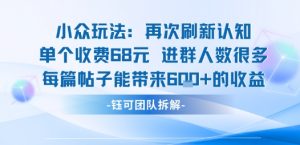 小众玩法再次刷新认知单个收费68米进群人数很多每篇帖子能带来6张的收益-互联网资源大全网