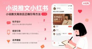小说推文小红书高转化引导方法实操课，小说推文高效且正确引导方法-互联网资源大全网