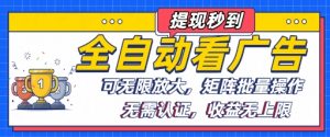 全自动看广告项目，可无限放大，可矩阵批量操作-互联网资源大全网