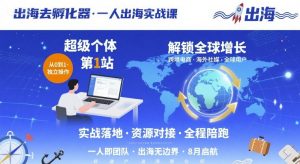 出海去孵化器,一人出海实战课,超级个体第1站,解锁全球增长-互联网资源大全网