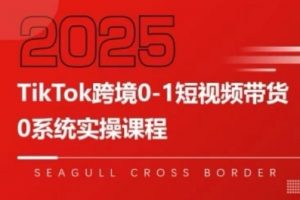 TikTok跨境0-1短视频带货,系统拆解TikTok跨境带货全链路,实现跨境可持续盈利-互联网资源大全网
