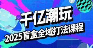 2025盲盒全域全套打法课,盲盒起号、选品、话术、私域等-第一资源库