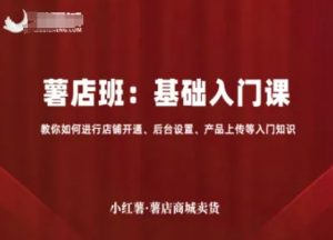 小红薯薯店商城卖货,基础入门课,教你如何进行店铺开通、后台设置、产品上传等入门知识-互联网资源大全网