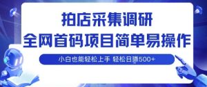 拍店采集调研，全网首码项目，简单易操作， 小白也能轻松上手，多账号操作，轻松日入5张【揭秘】-互联网资源大全网