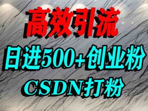 怎么打创业粉?CSDN又一个你不知道的打粉引流神秘平台,单人日引500+精准流量-互联网资源大全网