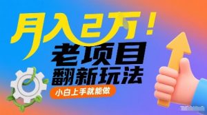 月入2W!老项目翻新玩法,小白上手就能做,非常容易上手-互联网资源大全网