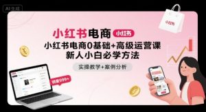 小红书电商0基础+高级运营课，新人小白必学方法，实操教学+案例分析-互联网资源大全网