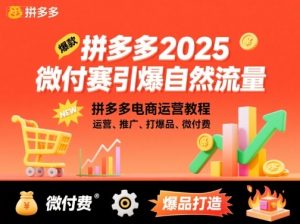 拼多多2025微付赛引爆自然流量,拼多多电商运营教程,运营、推广、打爆品、微付费-互联网资源大全网