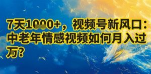 7天收益1k+，视频号新风口：中老年情感视频如何月入过W?-互联网资源大全网