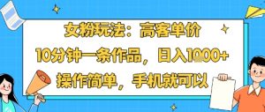女粉玩法：高客单价，10分钟一条作品，日入1k+操作简单，手机就可以-互联网资源大全网