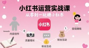小红书运营实战课,从零到一玩賺小红书-互联网资源大全网