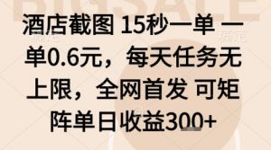 酒店截图项目,15秒一单,一单0.6米,每天任务无上限,全网首发可矩阵单日收益3张+【揭秘】-互联网资源大全网